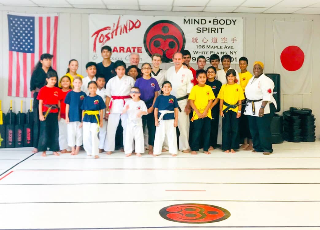 Toshindo Martial Arts Beginner Class