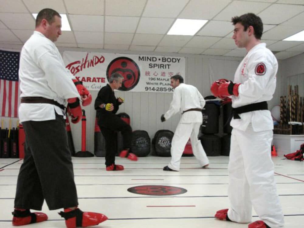 Toshindo Martial Arts Advanced Class