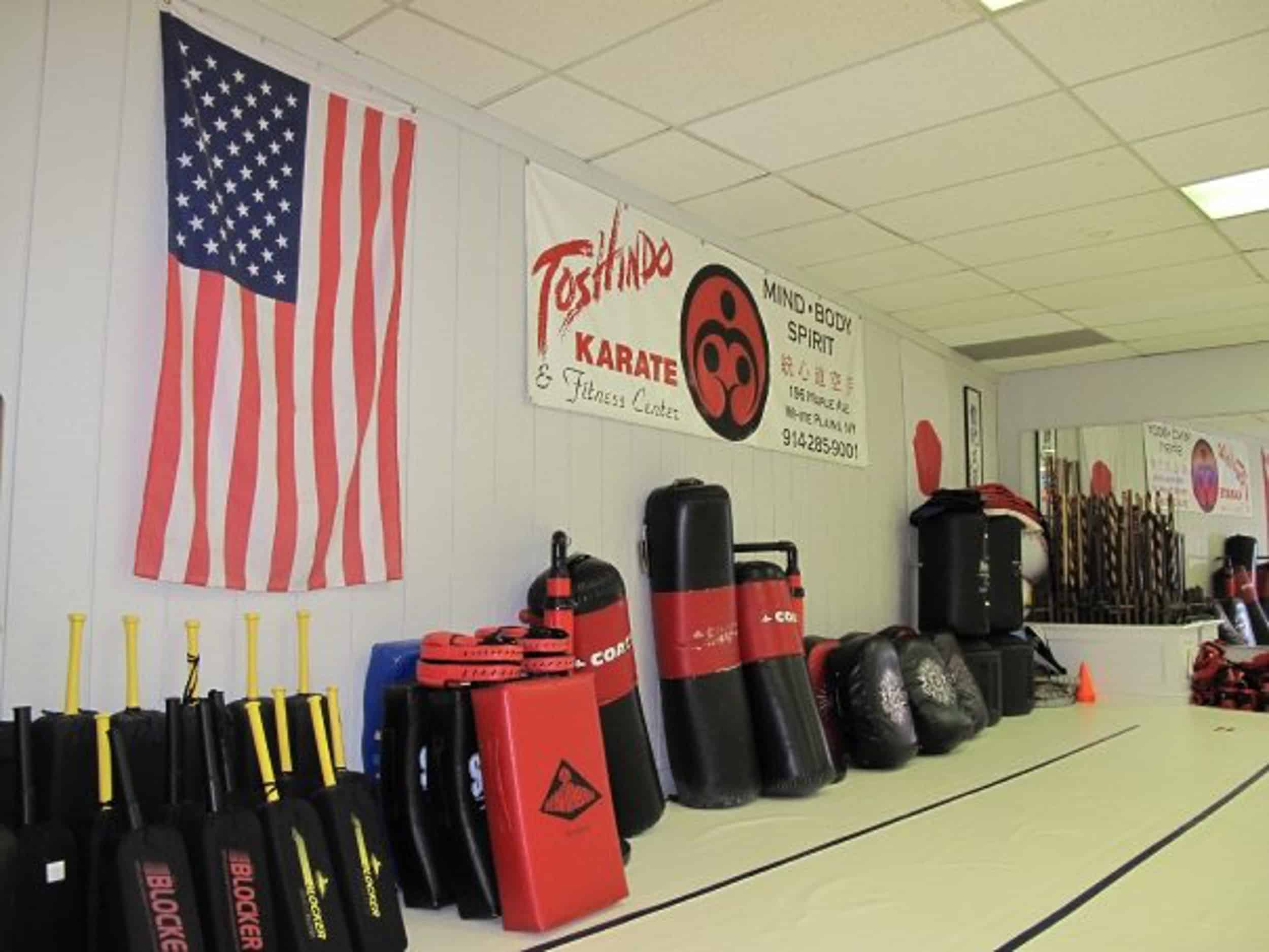 Toshindo Martial Arts Programs