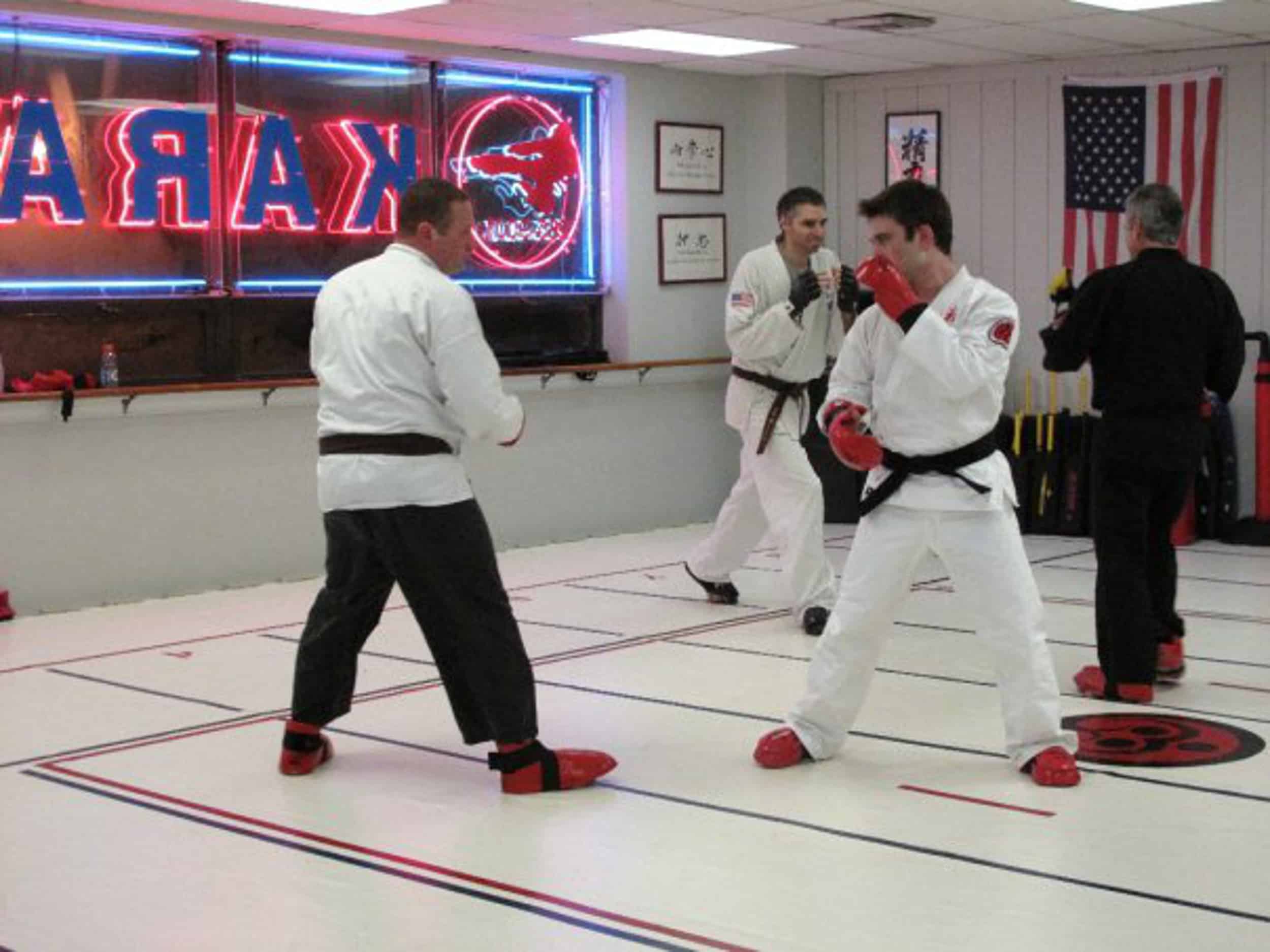 Toshindo Martial Arts Foundations of Karate